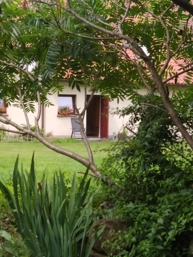 Agroturystyka Owczarnia Villa Kętrzyn Exteriör bild