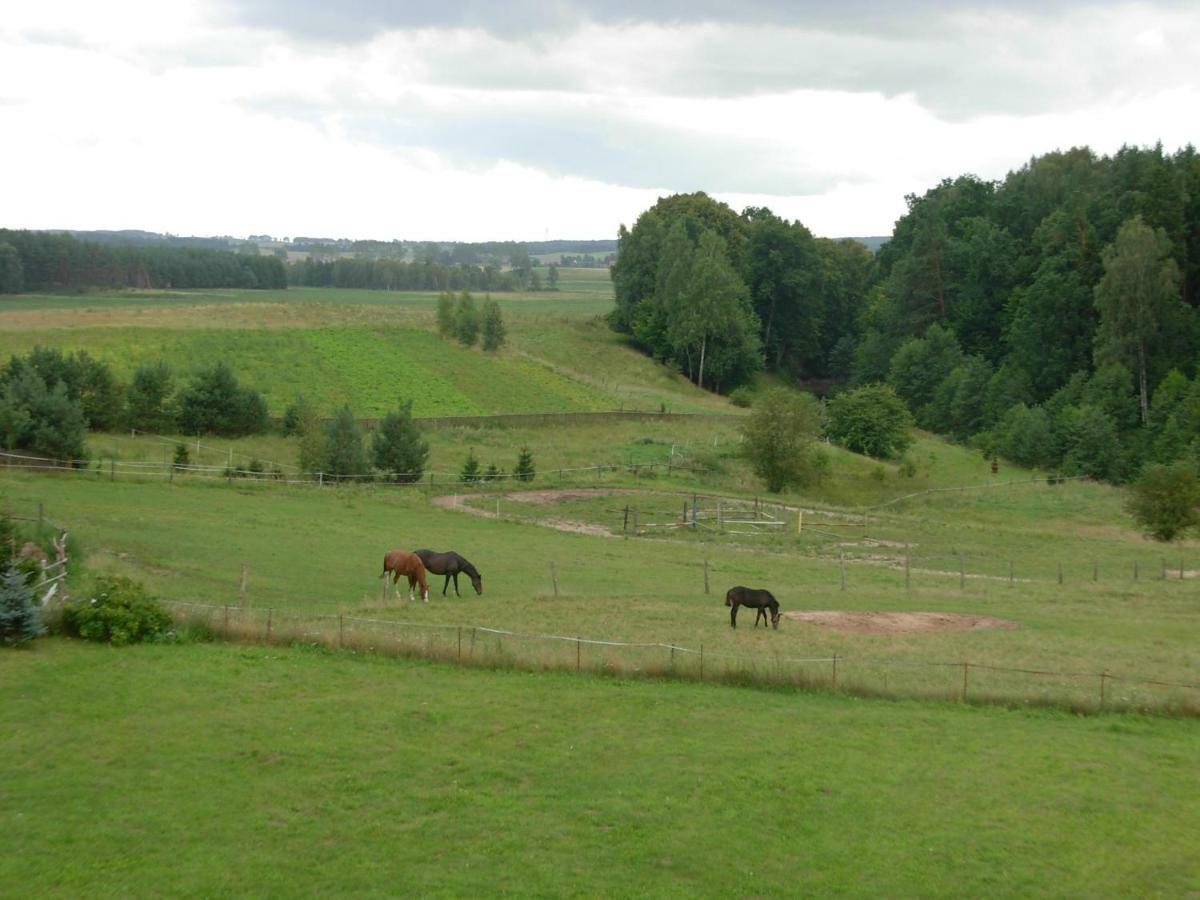 Agroturystyka Owczarnia Villa Kętrzyn Exteriör bild